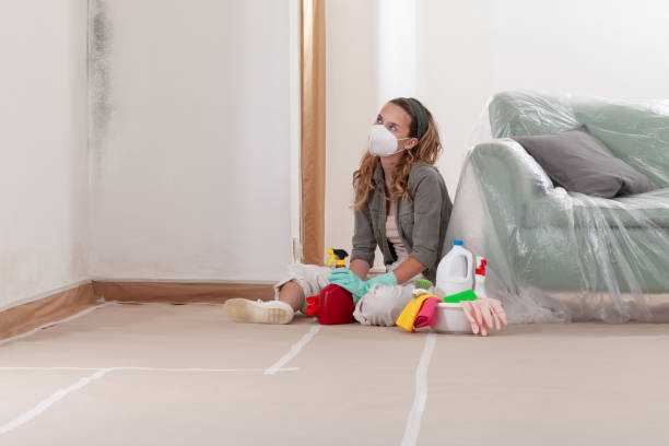 Reliable Mold Removal contractor in Gibbstown, NJ by WQB Mold Removal